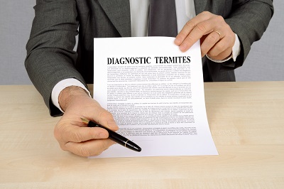 Diagnostic termites : un diagnostiqueur consciencieux et des acheteurs négligents